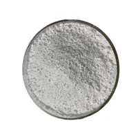 L-Arginine supplement