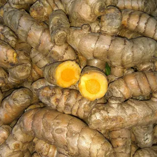 Fresh turmeric rhizomes cut open showing orange flesh